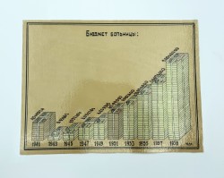 Диаграмма «Бюджет больницы», ламинированная